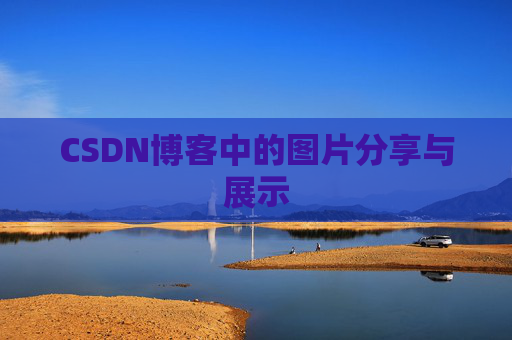 CSDN博客中的图片分享与展示